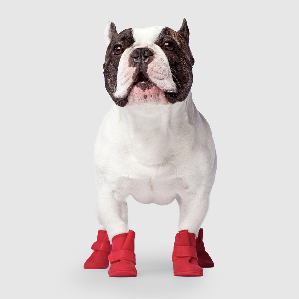 Unlined Wellies by Canada Pooch | Canadapoud 70C7
