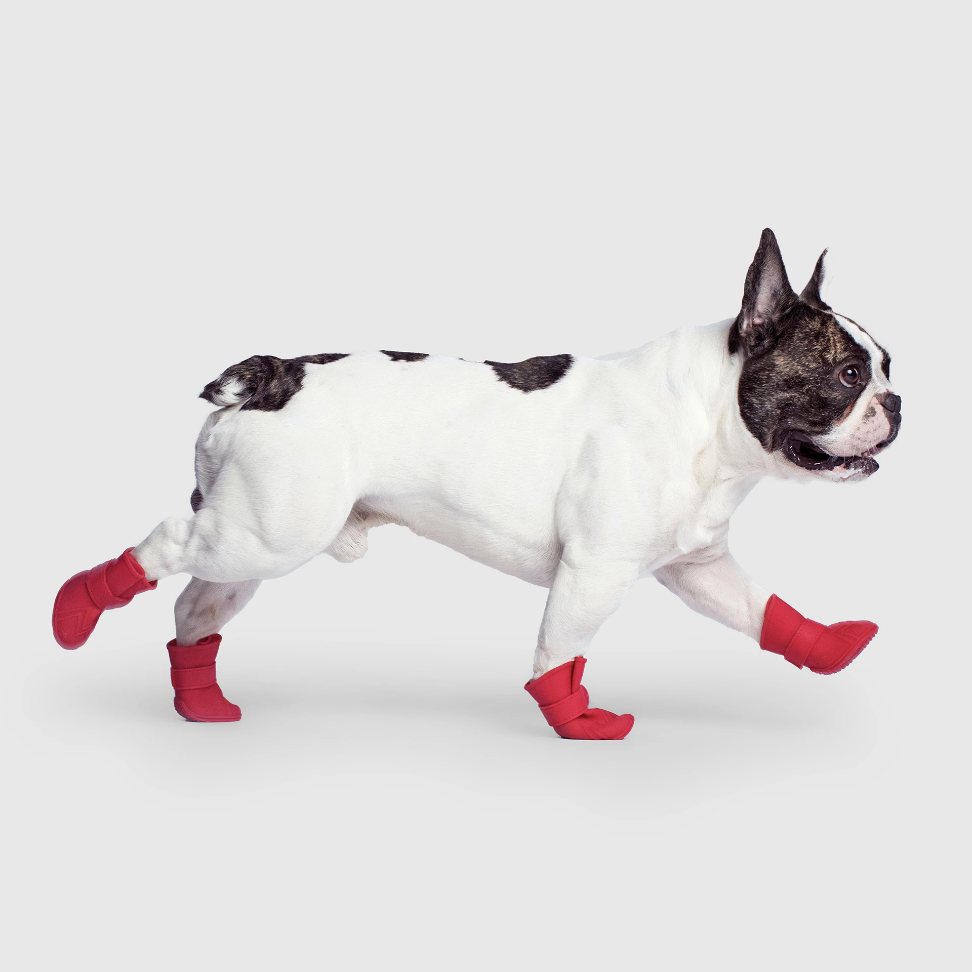 Unlined Wellies by Canada Pooch | Canadapoud 7333