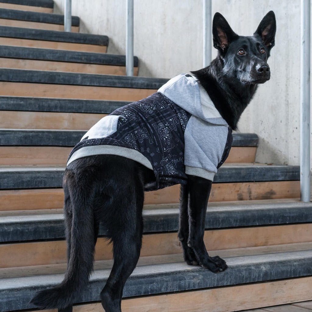 Whatever The Weather Hoodie by Canada Pooch | Canadapoud 9FBF