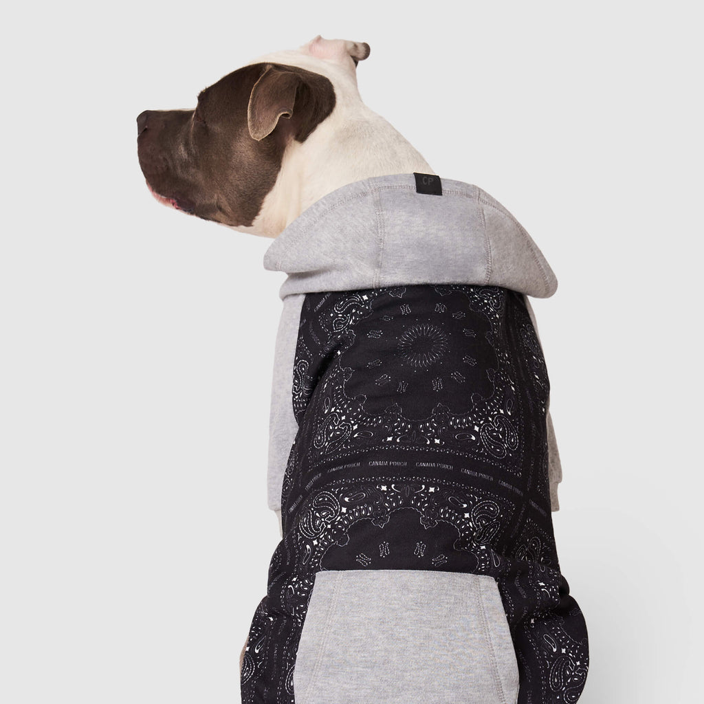 Whatever The Weather Hoodie by Canada Pooch | Canadapoud 9FBF