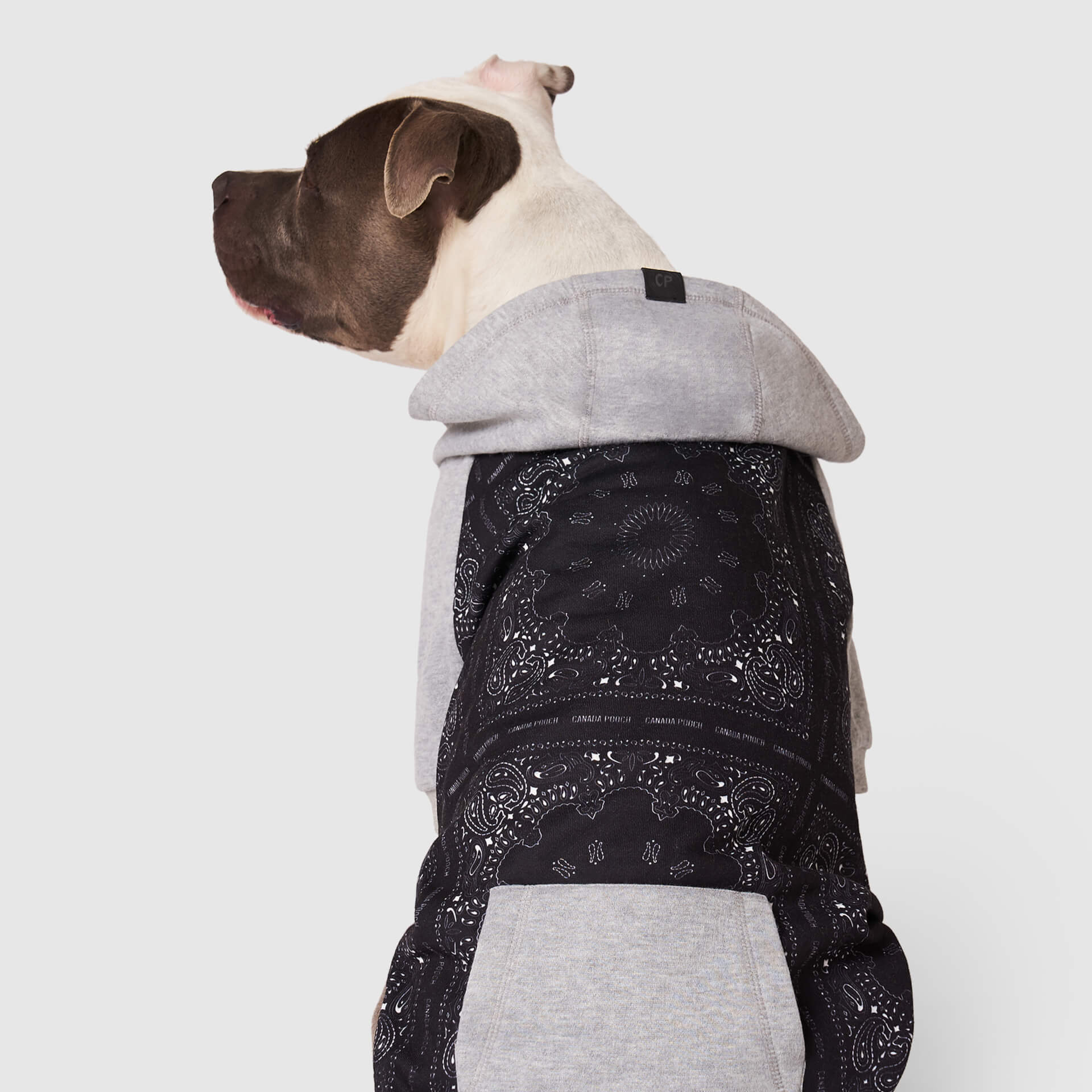 Whatever The Weather Hoodie by Canada Pooch | Canadapoud 9FBF