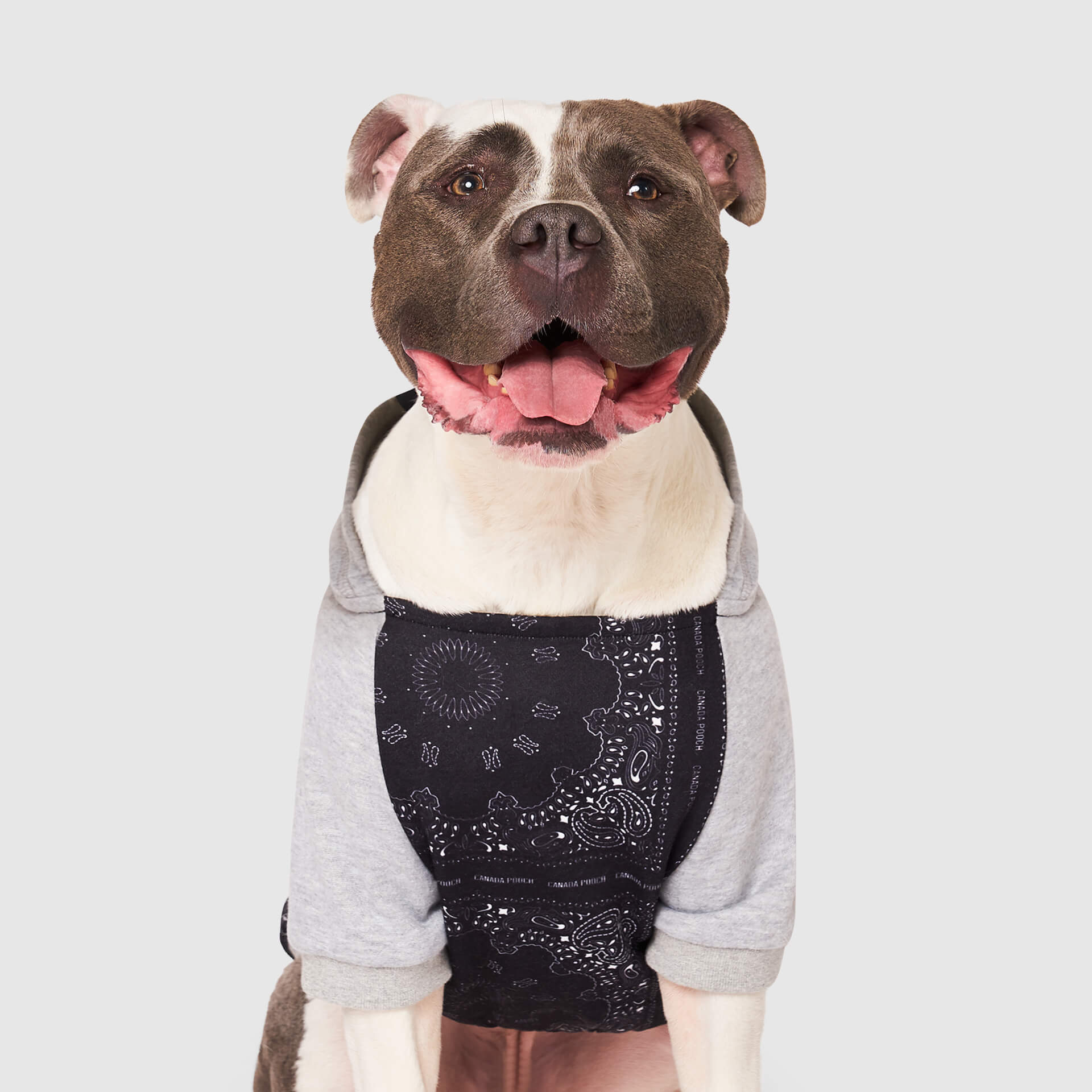 Whatever The Weather Hoodie by Canada Pooch | Canadapoud 9FBF