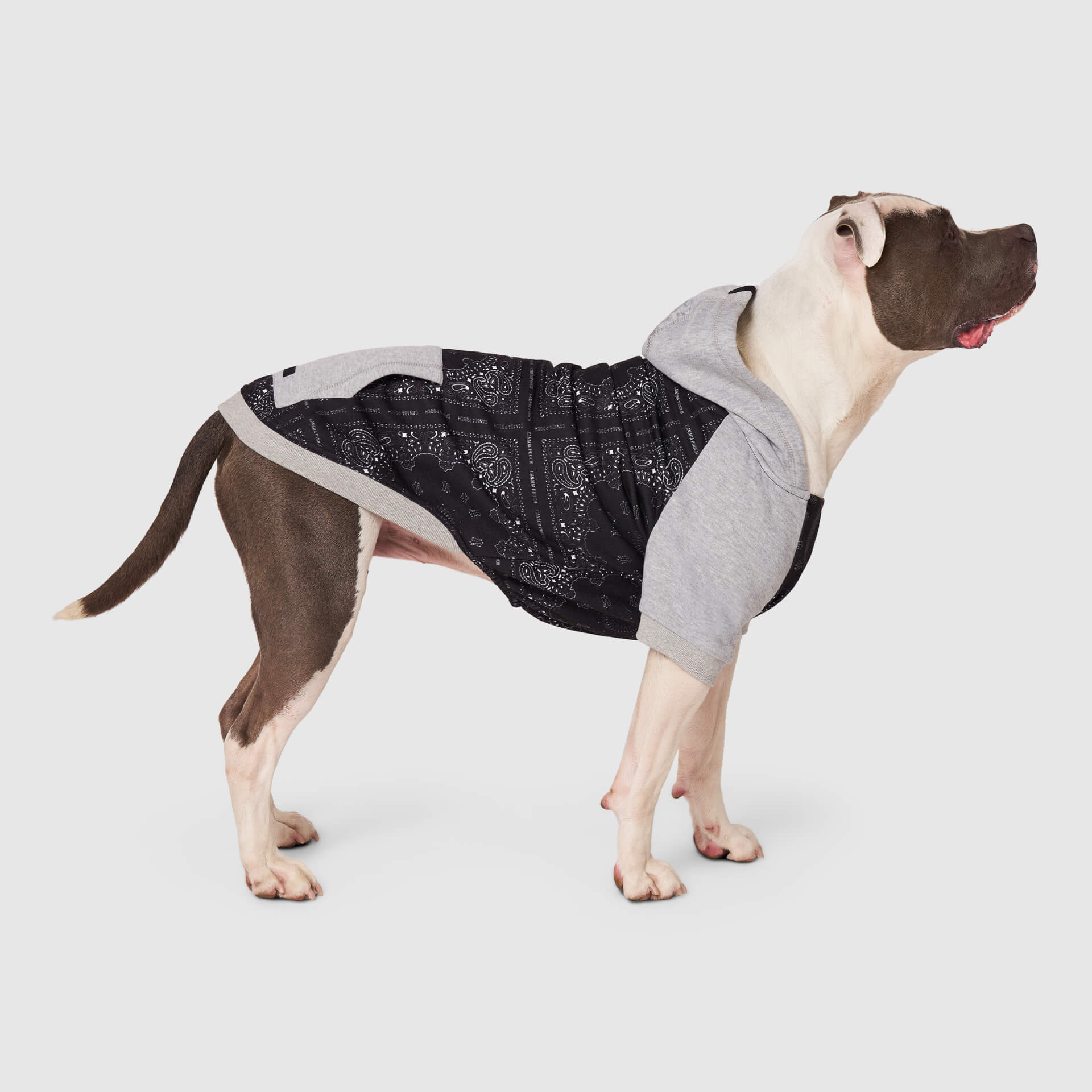 Whatever The Weather Hoodie by Canada Pooch | Canadapoud 9FBF