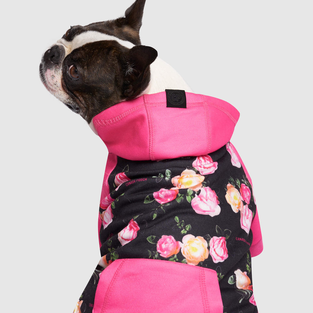 Whatever The Weather Hoodie by Canada Pooch | Canadapoud 9FBF