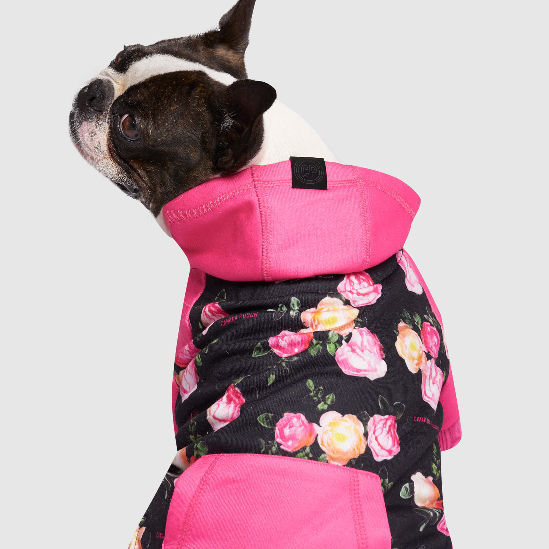 Whatever The Weather Hoodie by Canada Pooch | Canadapoud 9FBF