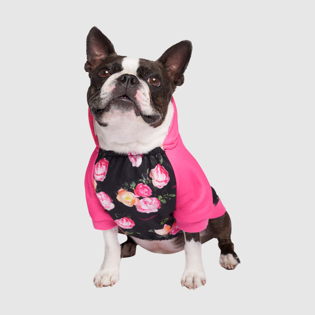 Whatever The Weather Hoodie by Canada Pooch | Canadapoud 9FBF