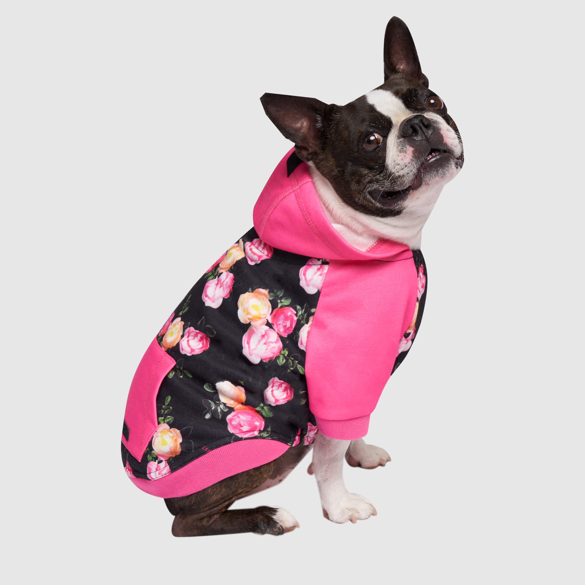 Whatever The Weather Hoodie by Canada Pooch | Canadapoud 9FBF