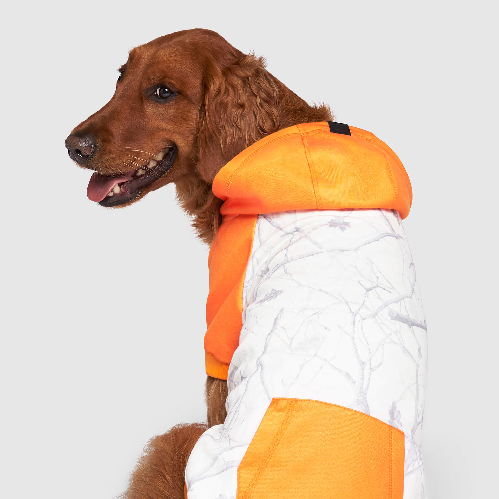 Whatever The Weather Hoodie by Canada Pooch | Canadapoud 9FBF