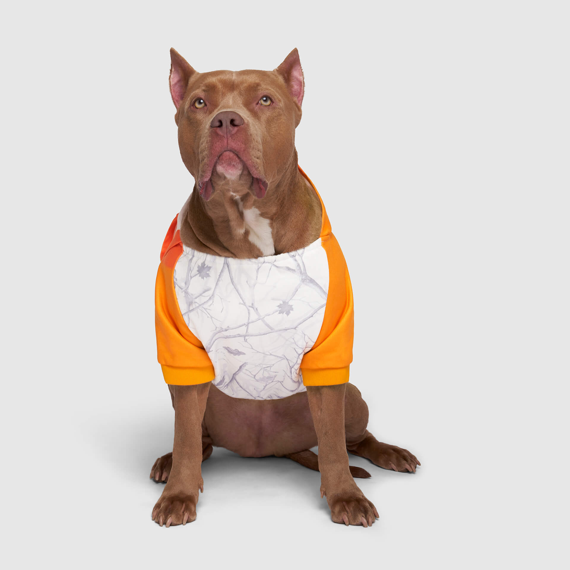 Whatever The Weather Hoodie by Canada Pooch | Canadapoud 9FBF