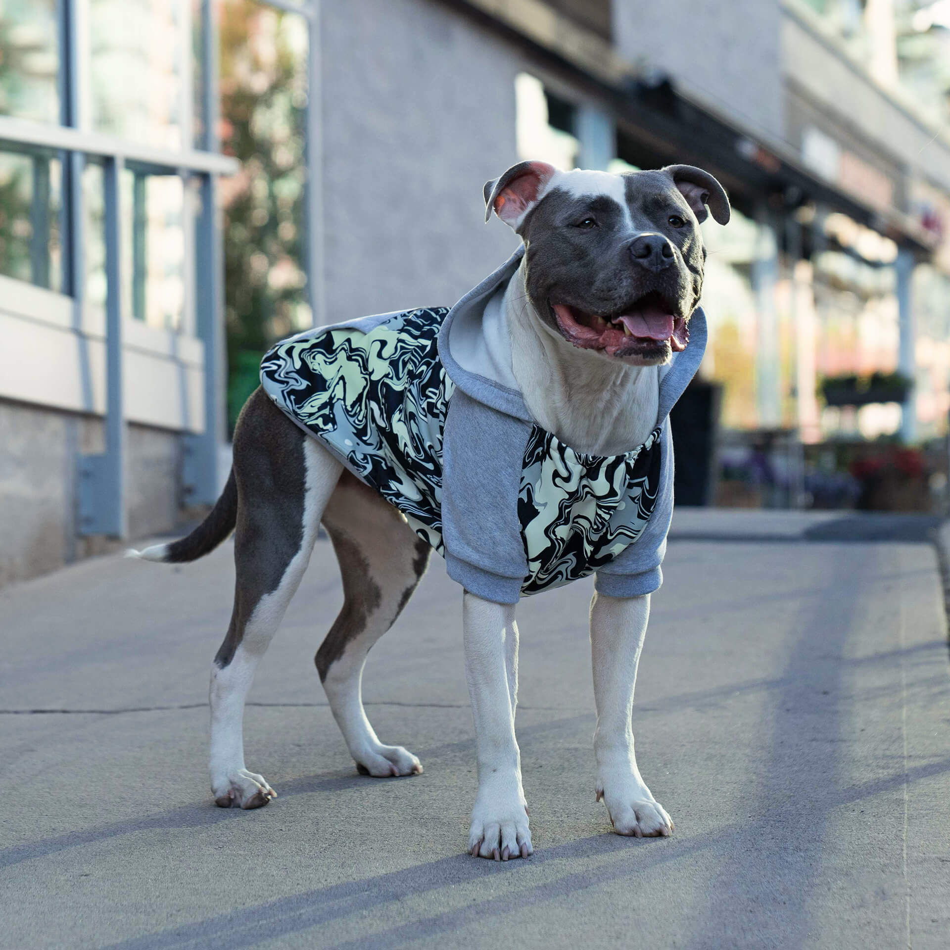 Whatever The Weather Hoodie by Canada Pooch | Canadapoud 9FBF