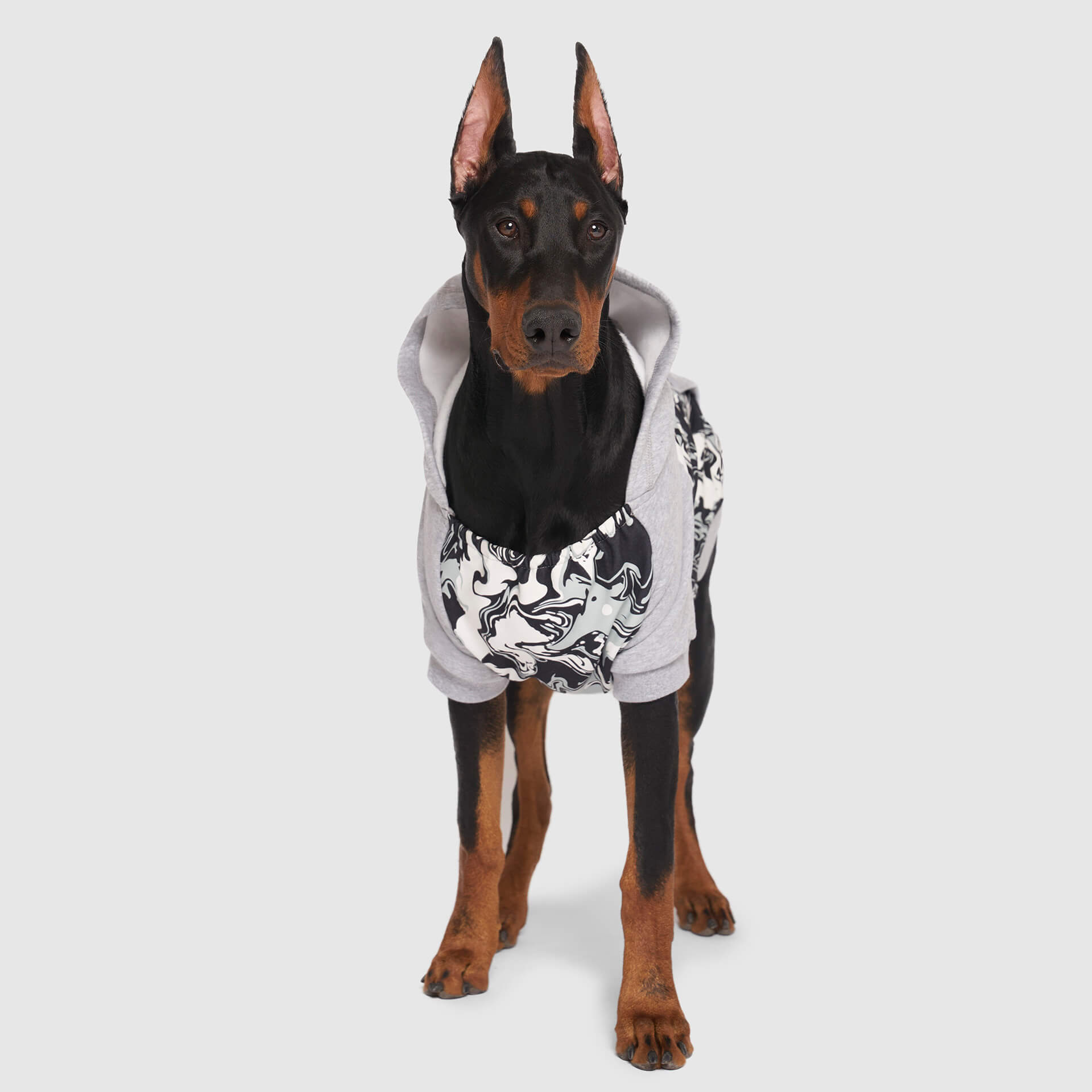 Whatever The Weather Hoodie by Canada Pooch | Canadapoud 9FBF