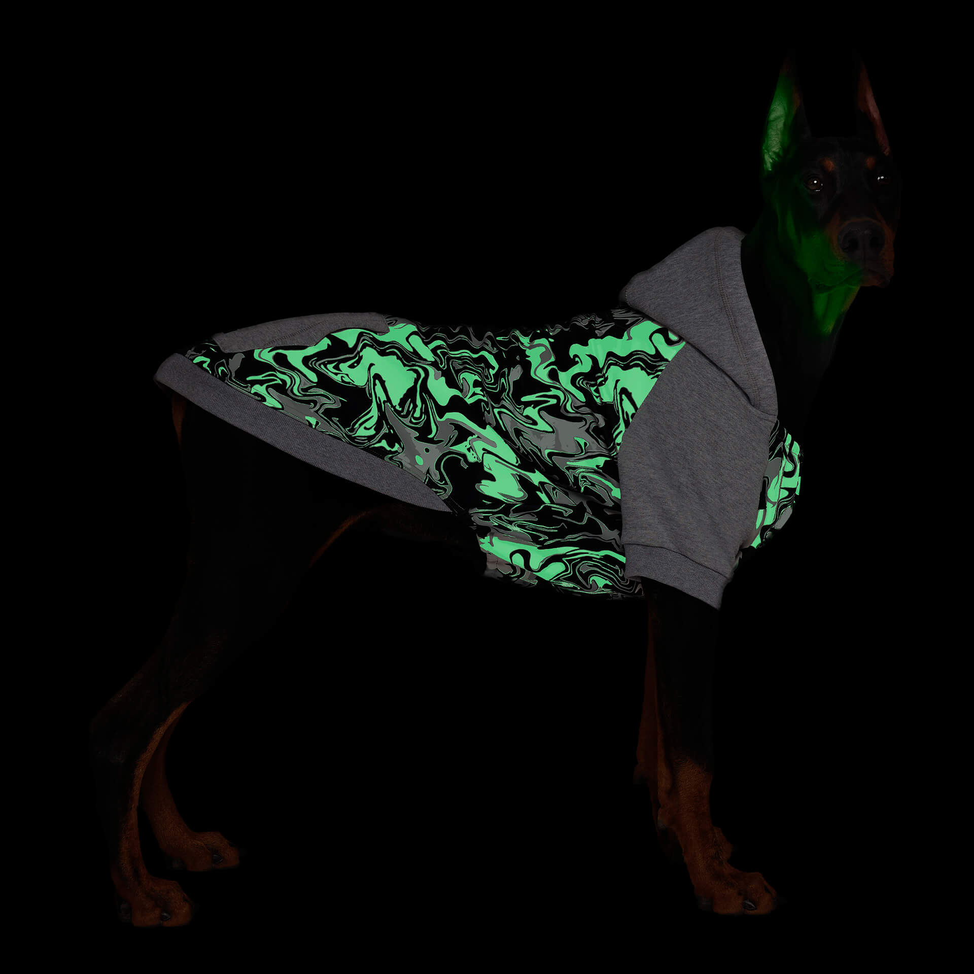 Whatever The Weather Hoodie by Canada Pooch | Canadapoud 9FBF