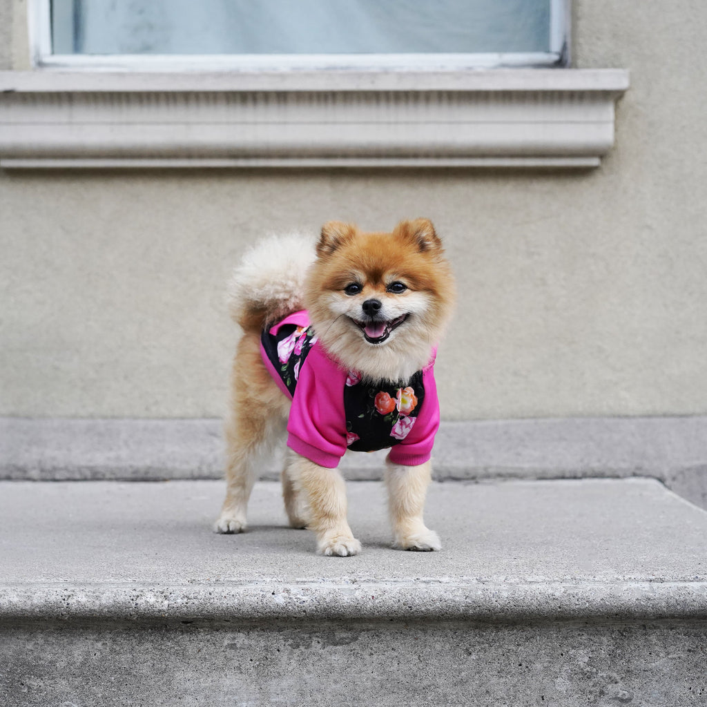Whatever The Weather Hoodie by Canada Pooch | Canadapoud 9FBF