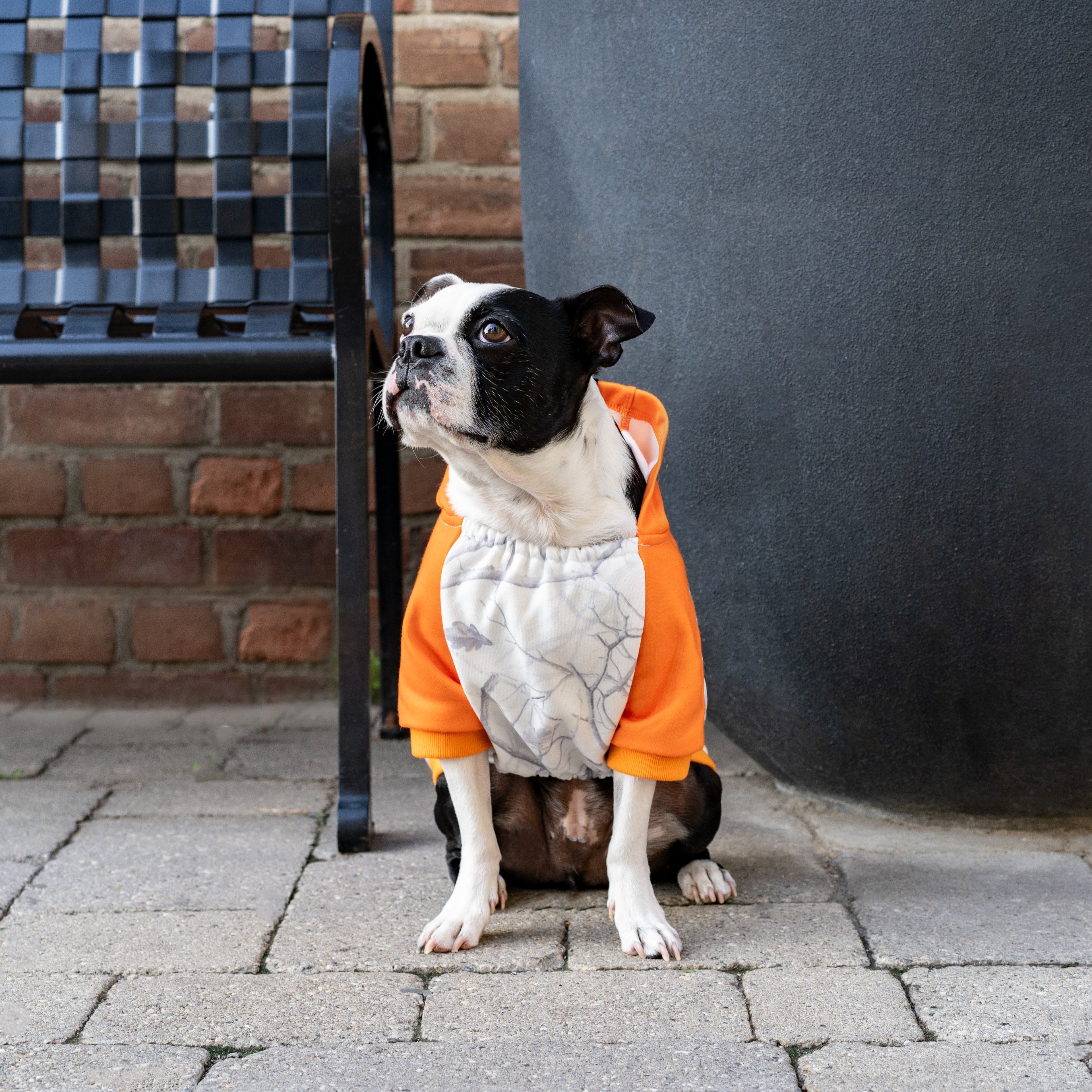 Whatever The Weather Hoodie by Canada Pooch | Canadapoud 9FBF