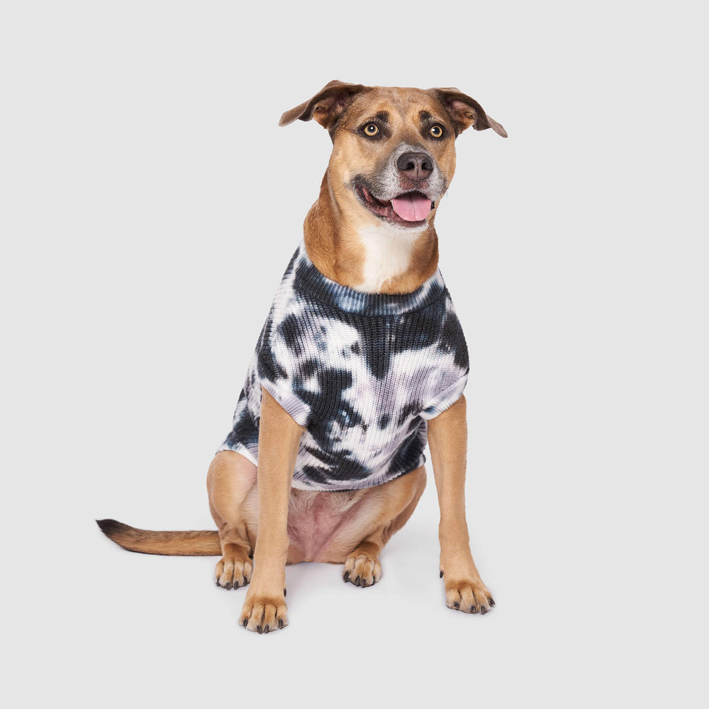 Wild Side Sweater by Canada Pooch | Canadapoud 7B5E