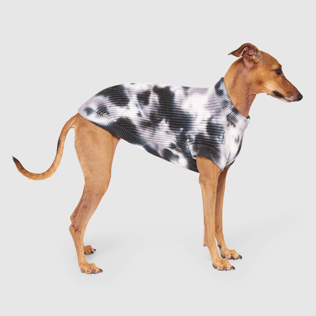 Wild Side Sweater by Canada Pooch | Canadapoud 7B5E