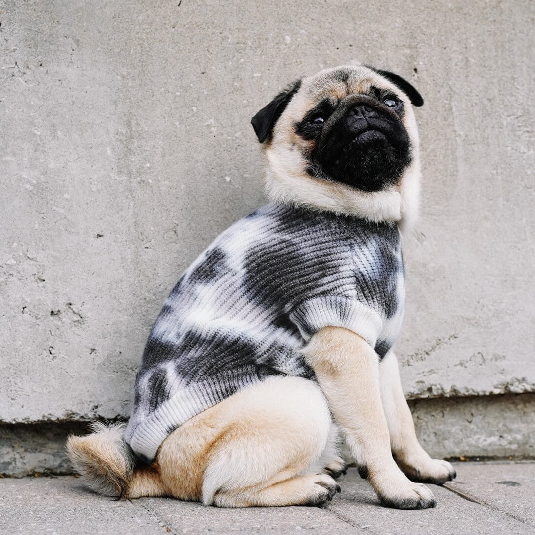 Wild Side Sweater by Canada Pooch | Canadapoud 7B5E
