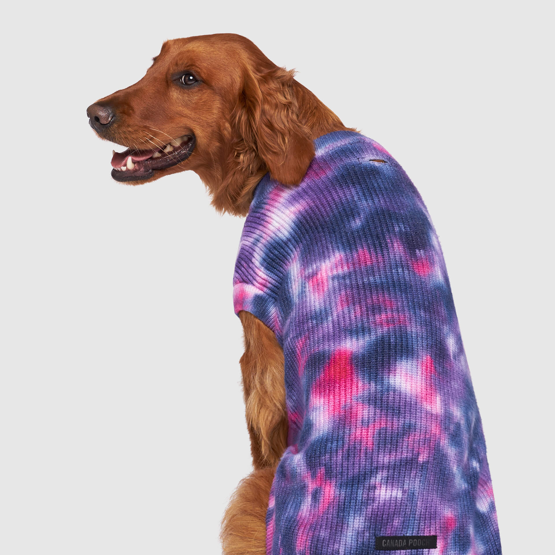 Wild Side Sweater by Canada Pooch | Canadapoud 7B5E