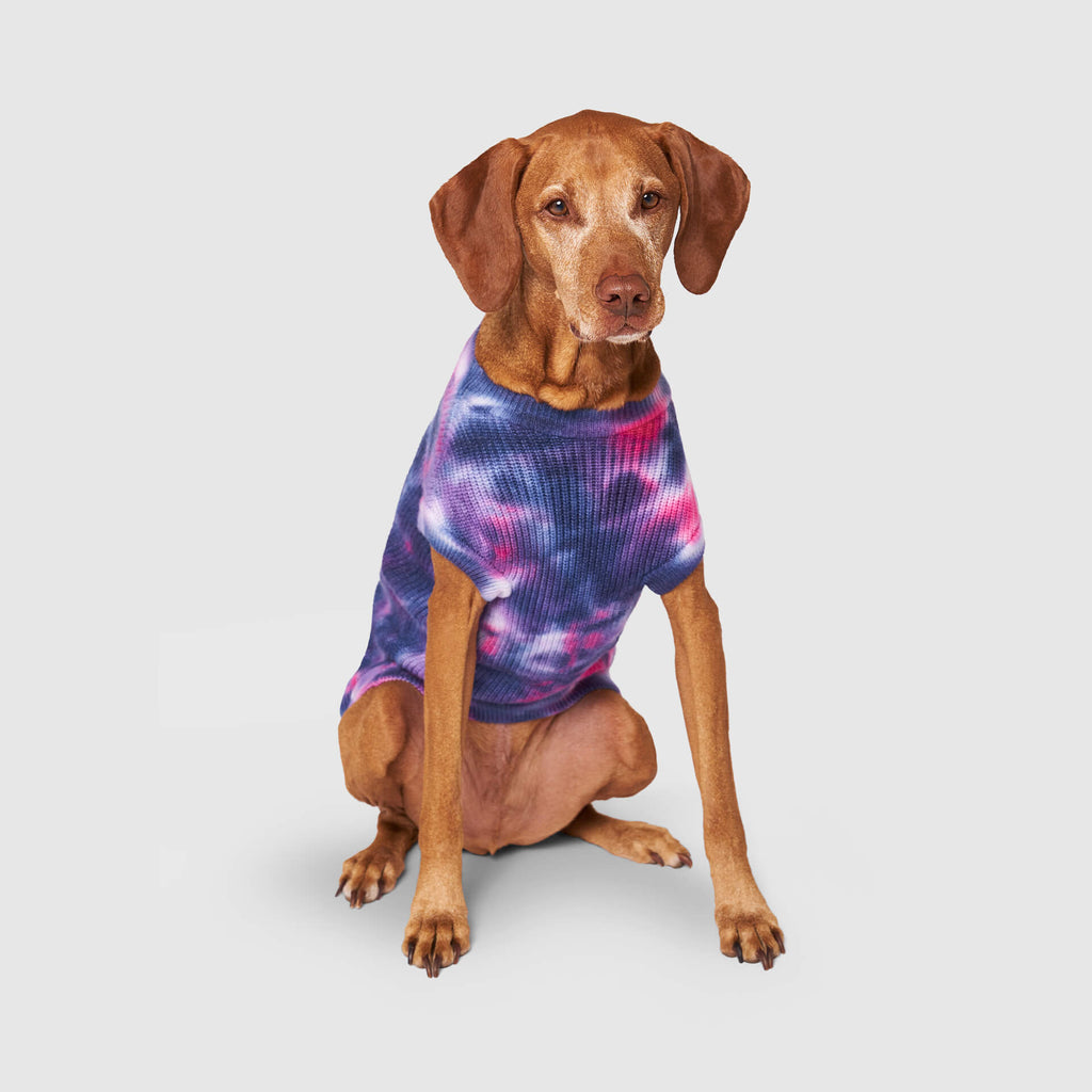 Wild Side Sweater by Canada Pooch | Canadapoud 7B5E