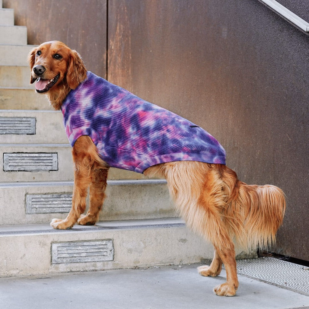 Wild Side Sweater by Canada Pooch | Canadapoud 7B5E