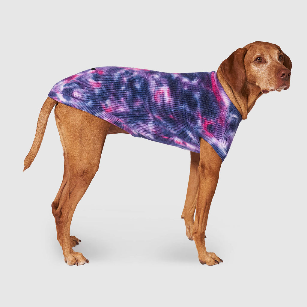 Wild Side Sweater by Canada Pooch | Canadapoud 7B5E