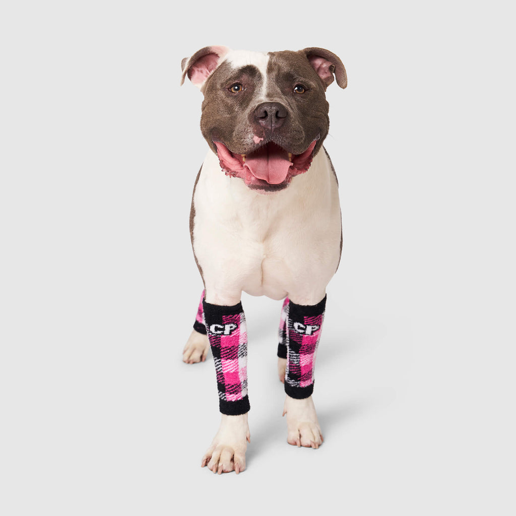 Work It Warmers by Canada Pooch | Canadapoud F61A