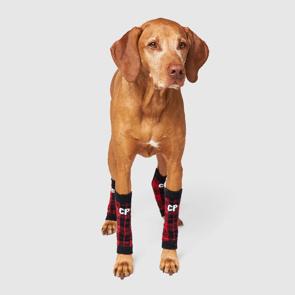 Work It Warmers by Canada Pooch | Canadapoud F61A