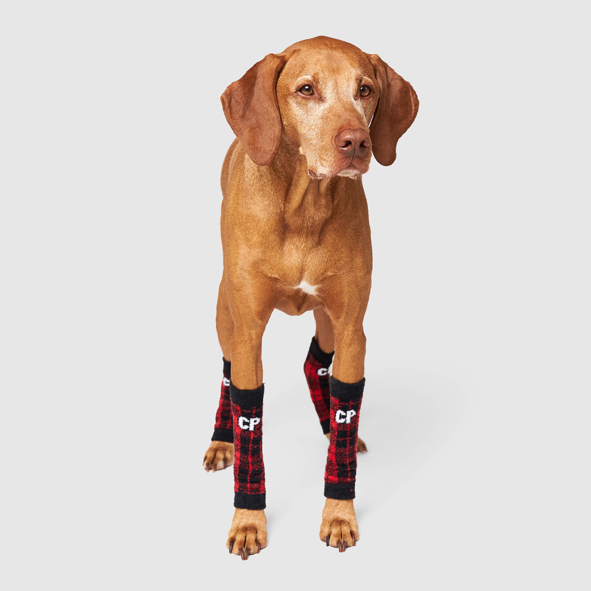 Work It Warmers by Canada Pooch | Canadapoud F61A