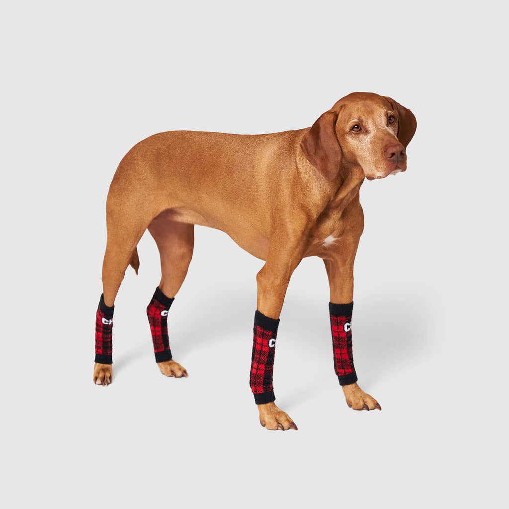 Work It Warmers by Canada Pooch | Canadapoud 0F3B
