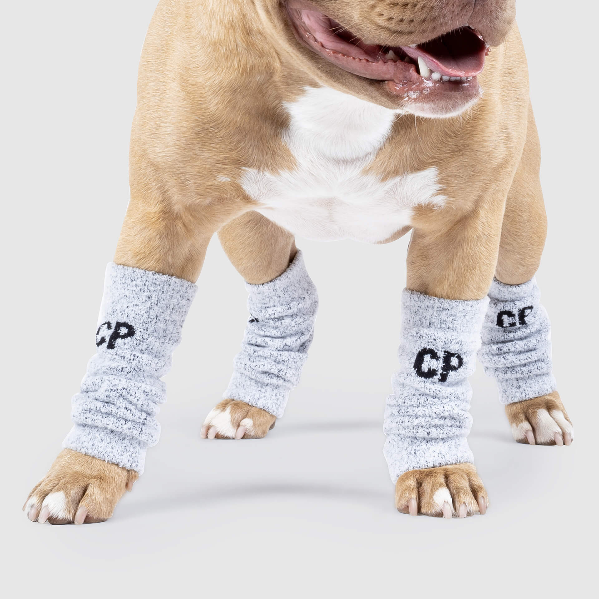 Work It Warmers by Canada Pooch | Canadapoud F61A
