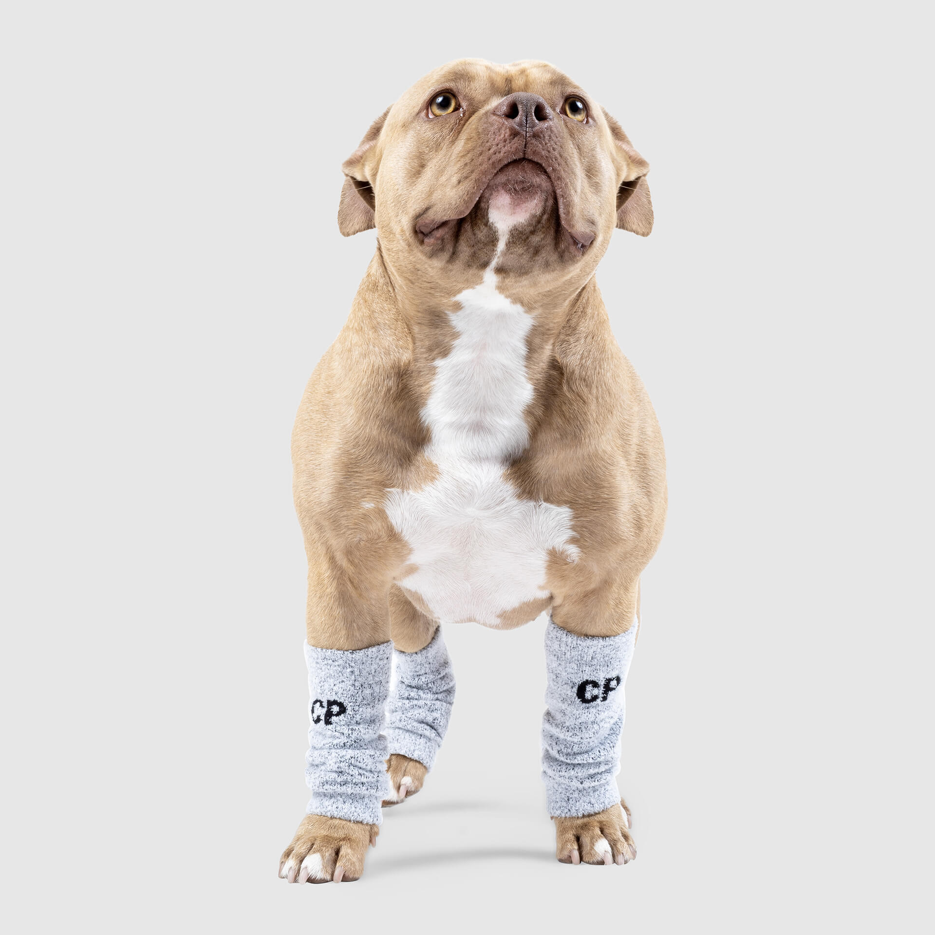 Work It Warmers by Canada Pooch | Canadapoud F61A