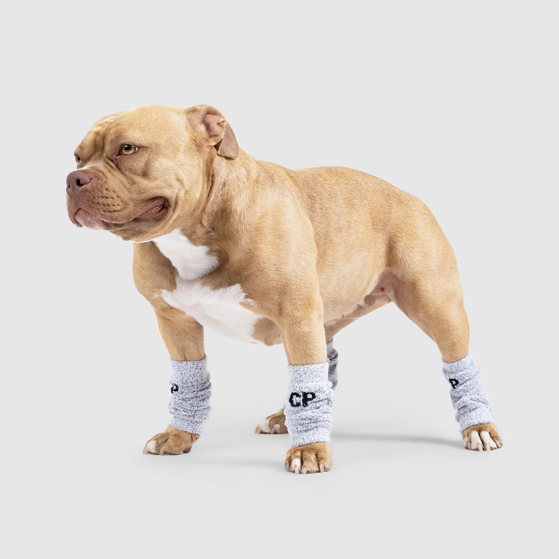 Work It Warmers by Canada Pooch | Canadapoud F61A